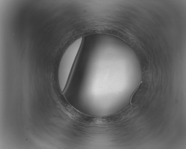 X0000074280750200608250935