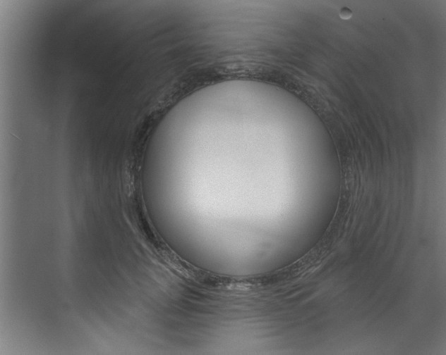 X0000074280751200608250935