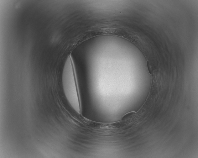 X0000074280752200608250935