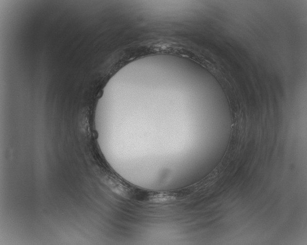 X0000074280754200608250935