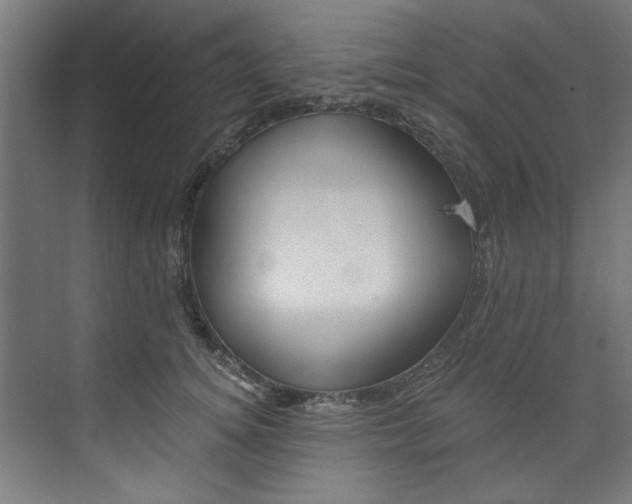 X0000074280756200608250936