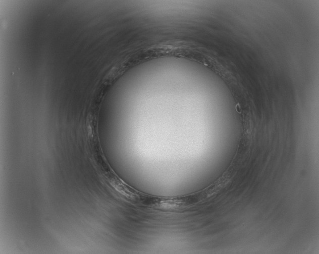 X0000074280758200608250936