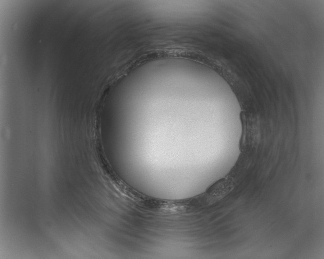X0000074280760200608250936