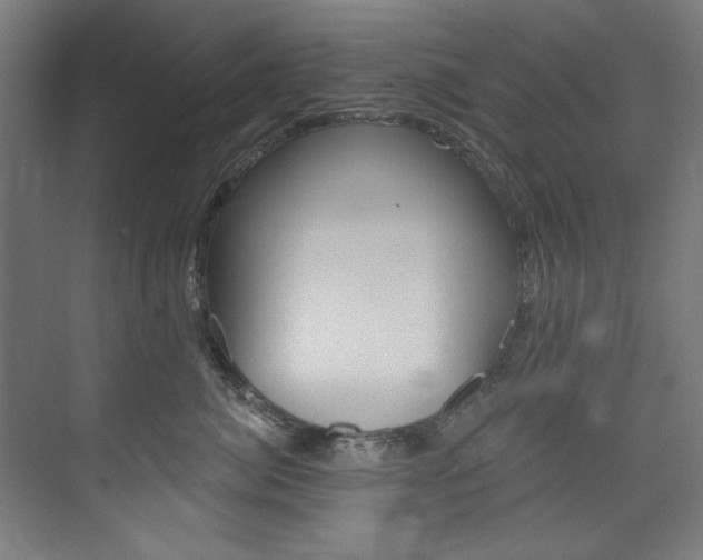 X0000074280764200608250936