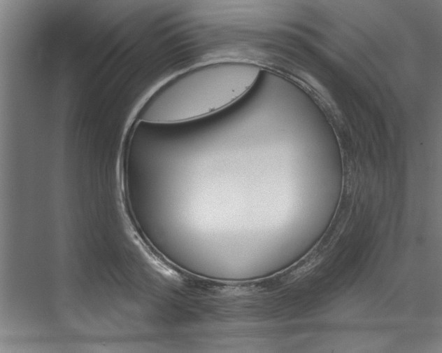 X0000074280796200608250934