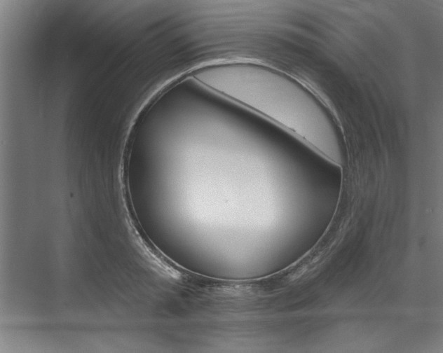 X0000074280797200608250934