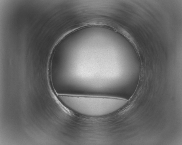 X0000074280803200608250934