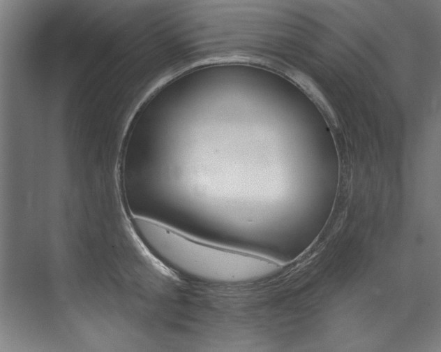 X0000074280805200608250934