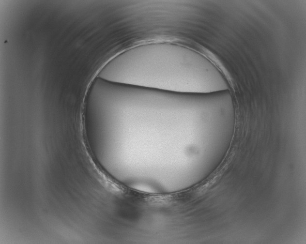 X0000074280810200608250934