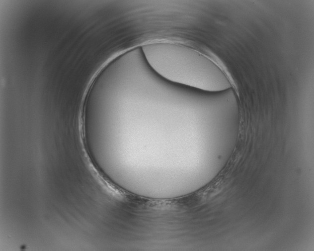 X0000074280811200608250934