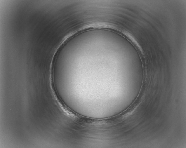 X0000074280845200608250934