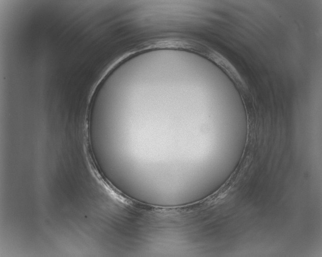 X0000074280852200608250934