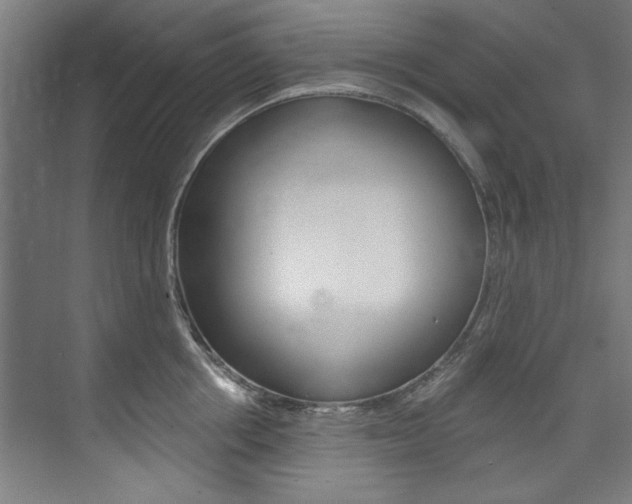 X0000074280858200608250934
