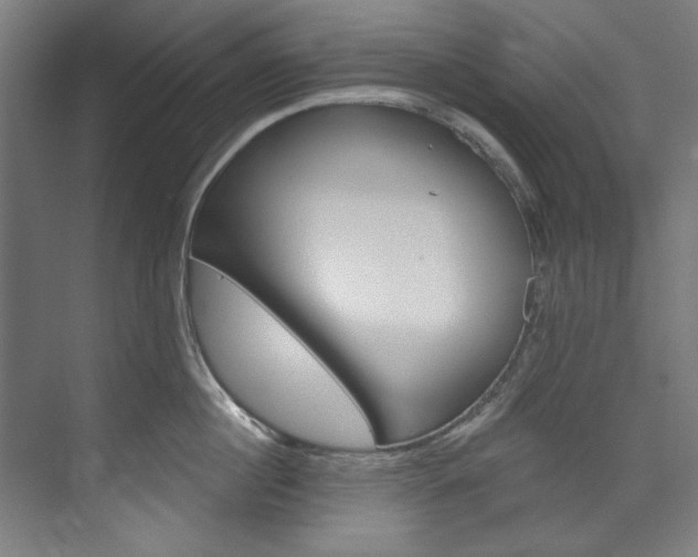 X0000074280860200608250934