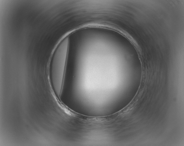 X0000074280862200608250934