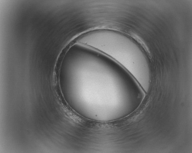 X0000074280876200608250933