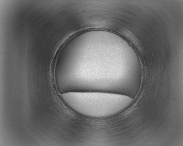 X0000074280883200608250933