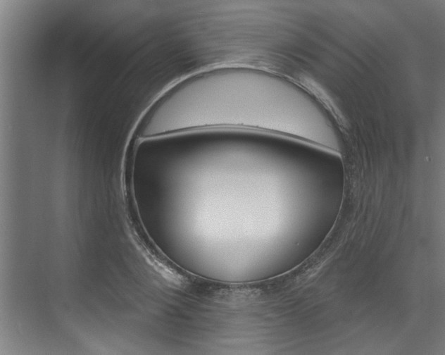 X0000074280884200608250933