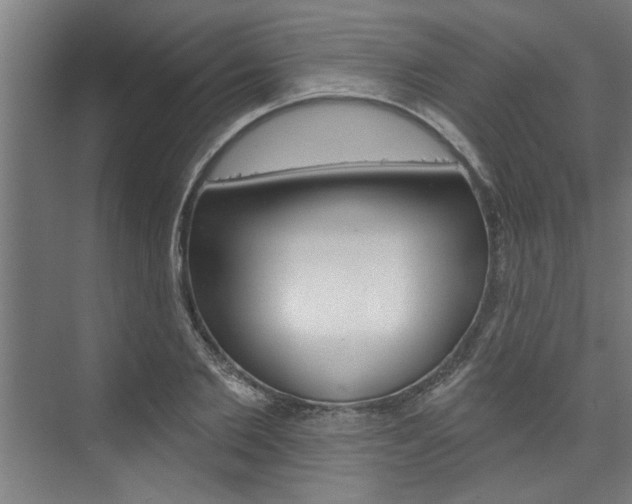 X0000074280885200608250933