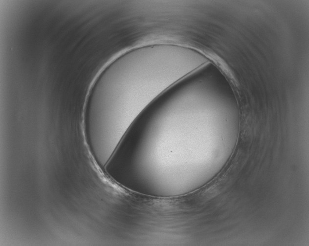 X0000074280904200608250933
