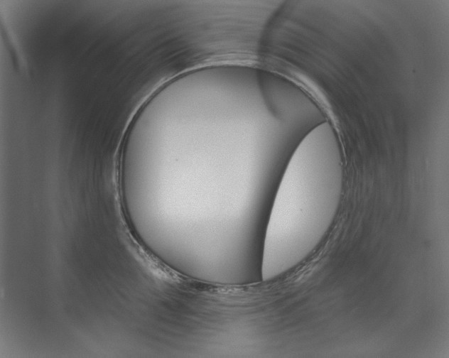 X0000074280907200608250933