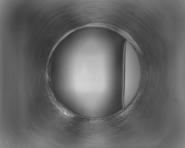 X0000074280908200608250933