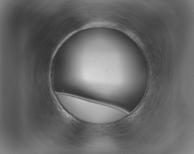 X0000074280912200608250933