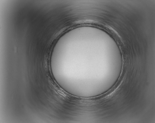 X0000074280921200608250932
