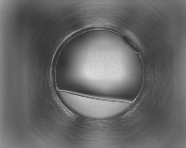 X0000074280932200608250932