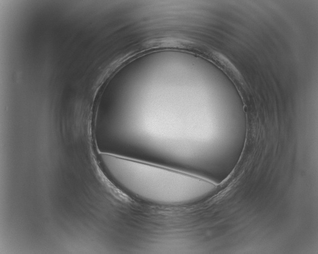 X0000074280938200608250932