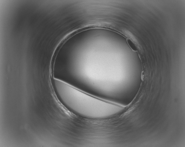 X0000074280940200608250932