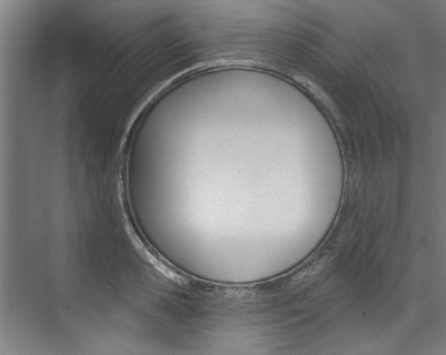 X0000074280941200608250932