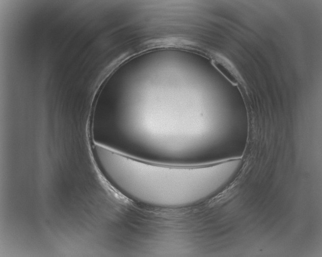 X0000074280946200608250932