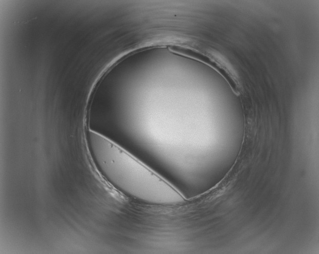 X0000074280948200608250932