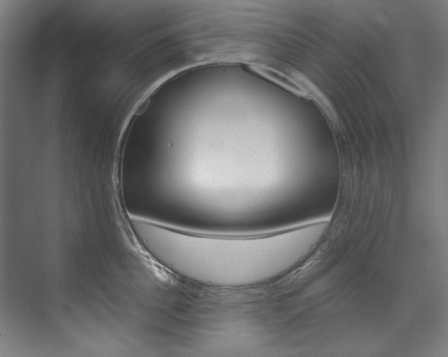 X0000074280956200608250932