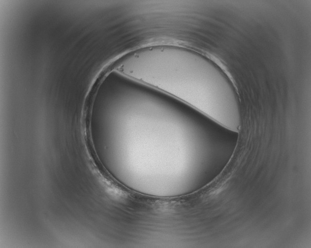 X0000074280987200608250931