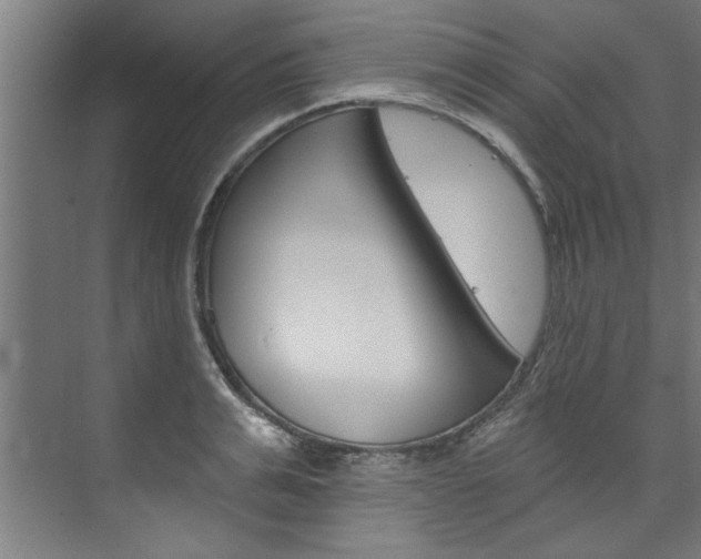X0000074280991200608250931