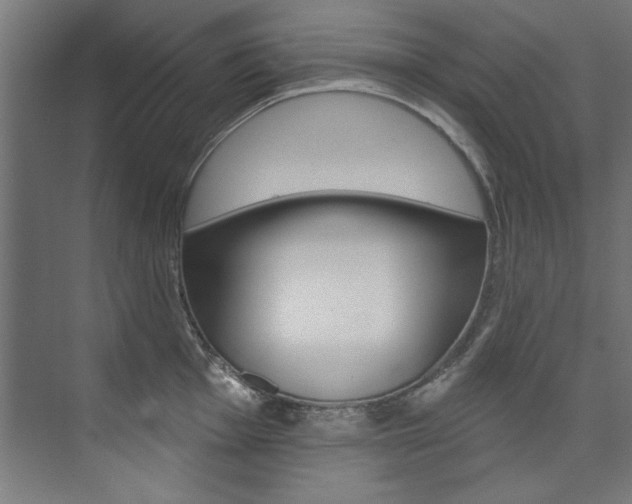 X0000074281001200608250931