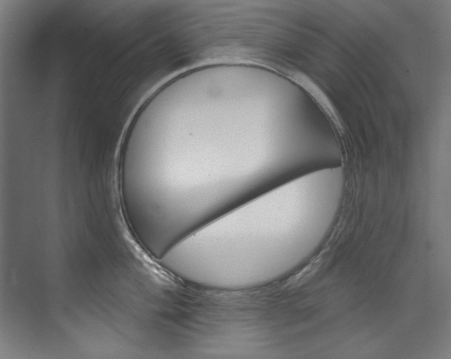 X0000074281004200608250931
