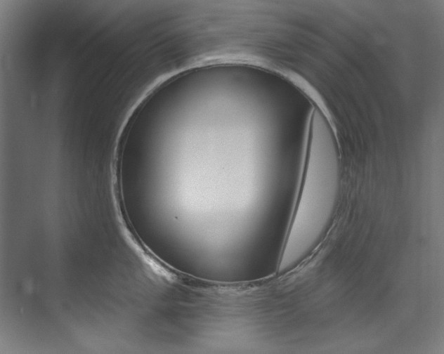 X0000074281005200608250931
