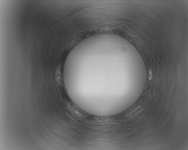 X0000074281011200608250930