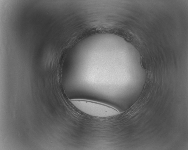 X0000074281012200608250930