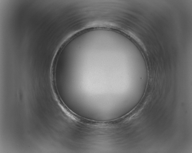X0000074281037200608250931