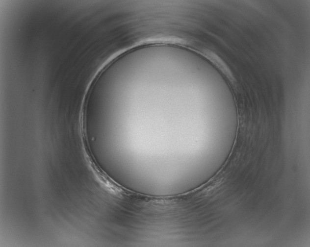X0000074281044200608250931
