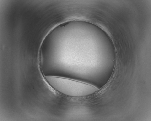 X0000074281056200608250931