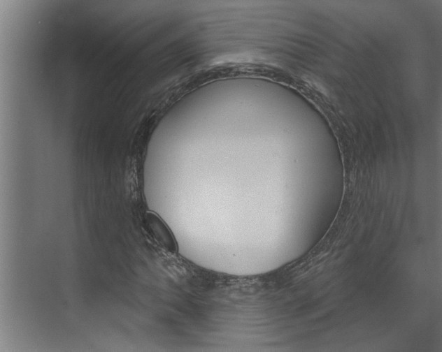 X0000074281062200608250930