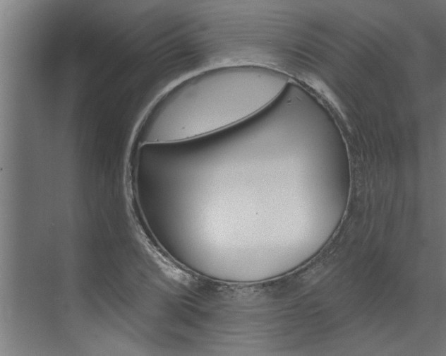 X0000074281072200608250930