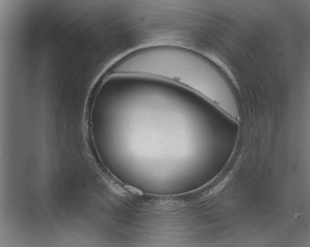 X0000074281077200608250930