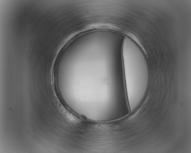 X0000074281082200608250930
