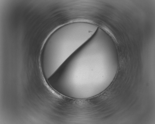 X0000074281092200608250929